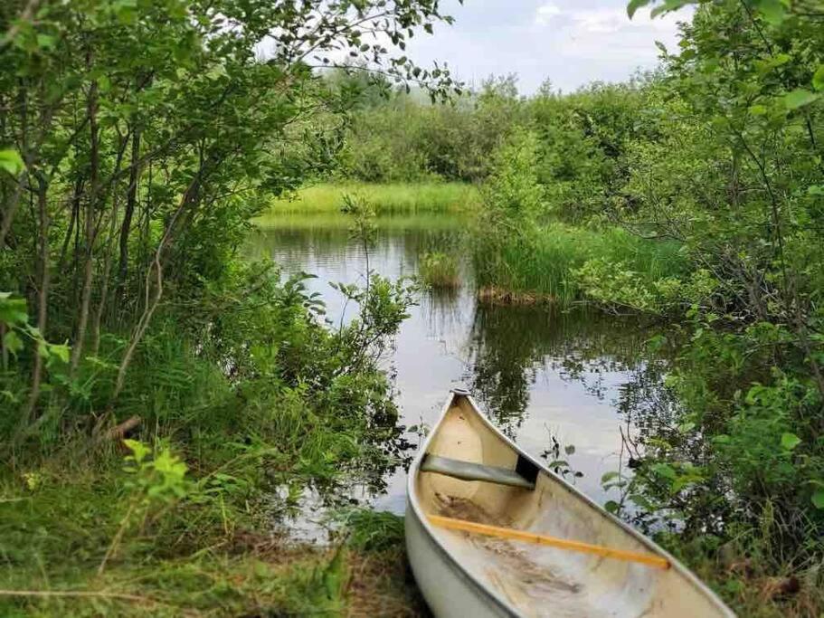 Chalets Nabu La Sacacomie - Riviere - Billard 圣亚历克西德蒙 外观 照片