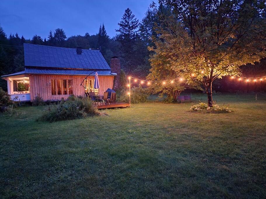 Chalets Nabu La Sacacomie - Riviere - Billard 圣亚历克西德蒙 外观 照片