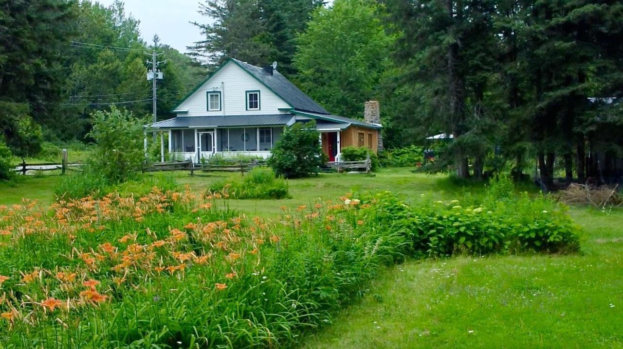 Chalets Nabu La Sacacomie - Riviere - Billard 圣亚历克西德蒙 外观 照片