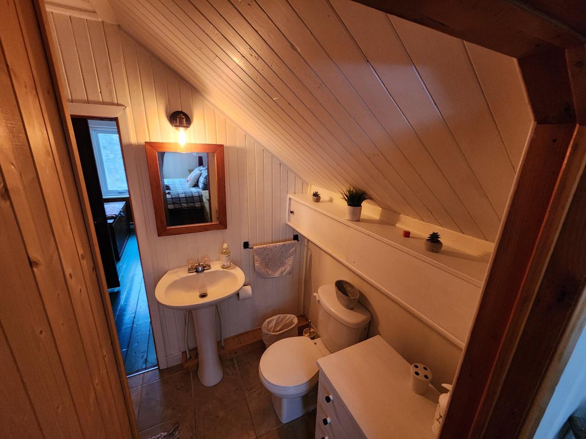 Chalets Nabu La Sacacomie - Riviere - Billard 圣亚历克西德蒙 外观 照片