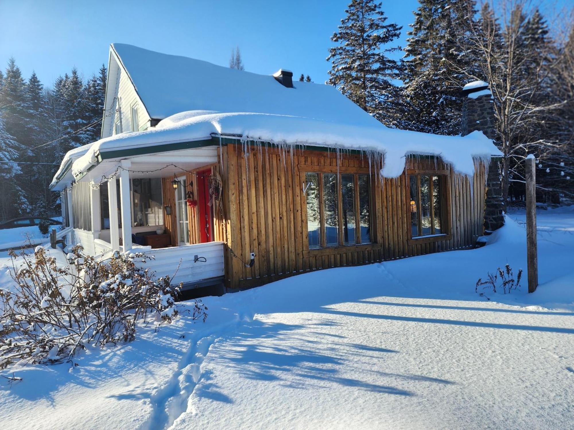 Chalets Nabu La Sacacomie - Riviere - Billard 圣亚历克西德蒙 外观 照片